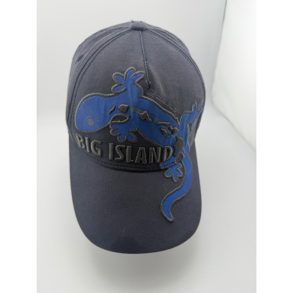Hawaiian Headwear Big Island Gecko Hat Gray Blue Hawaii State Flag Baseball Cap